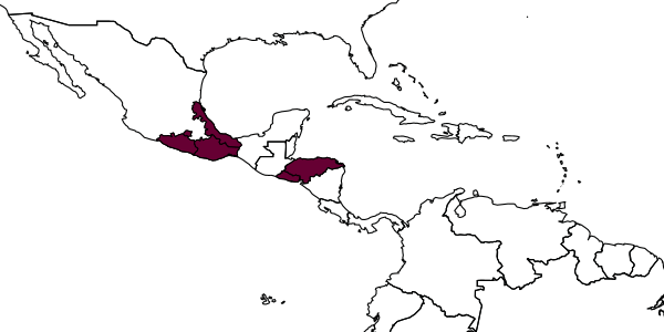 map of Alabagrus xipe     Sharkey, 1988